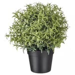 IKEA FEJKA Artificial Rosemary Potted Plant Lifelike 3.5" No Maintenance Needed